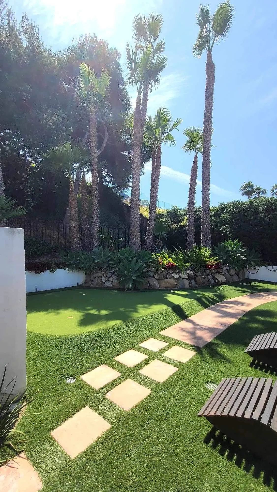 Tall palm trees trimming